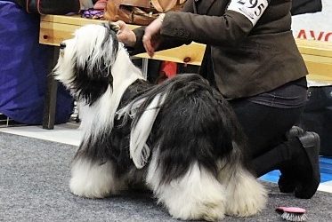 22.4.17 Outokumpu Show