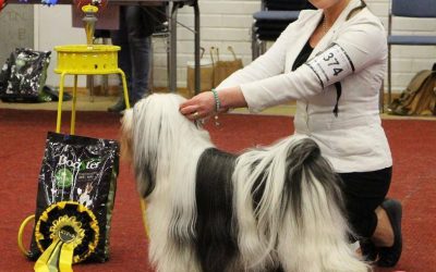 17.4.16 Polvijärvi Show