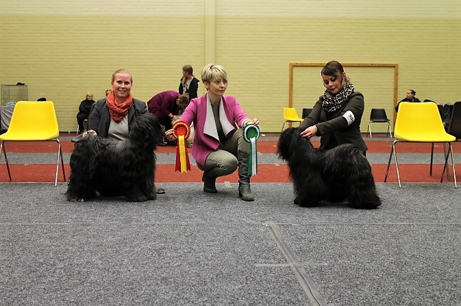 30.4.17 Tohmajärvi Show