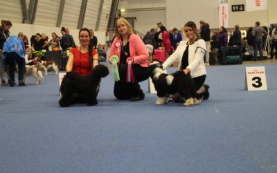 9.-10.12.2017 Helsinki Int Winner & Nordic Winner Shows