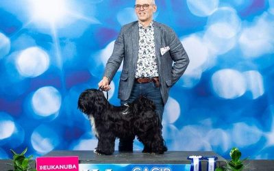 Genk Show, Holland 12.1.2019