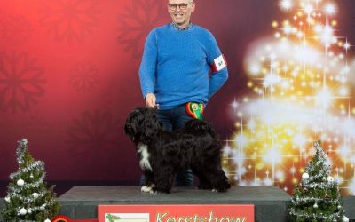 Kerstshow, Holland 22.12.2018