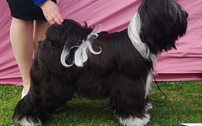 Kajaani Show 15.8.2019