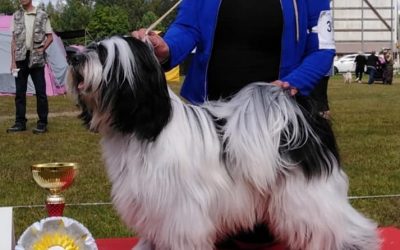 Tuusniemi Show 7.7.2019