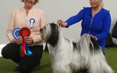 Tornio Show 23.2.2020