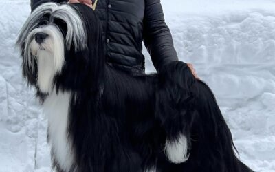 HoneyCreek & Ashlyn’s Heartmark! At Tibicinan -Apollo-